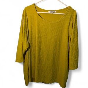 Rose & Olive Women's Yellow Long Sleeve Top